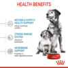 sol-hero-image-medium-start-dry-b1-cv3 Royal Canin Medium Starter - อาหารเม็ด สำหรับแม่สุนัขพันธุ์กลางช่วงตั้งท้องและลูกสุนัขหย่านมพันธุ์กลาง 1kg (442705)