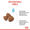 sol-hero-image-medium-start-dry-b1-cv4 (1) Royal Canin Medium Starter - อาหารเม็ด สำหรับแม่สุนัขพันธุ์กลางช่วงตั้งท้องและลูกสุนัขหย่านมพันธุ์กลาง 1kg (442705)