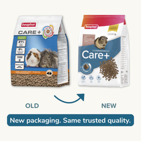 Beaphar CARE Plus Guinea Pig