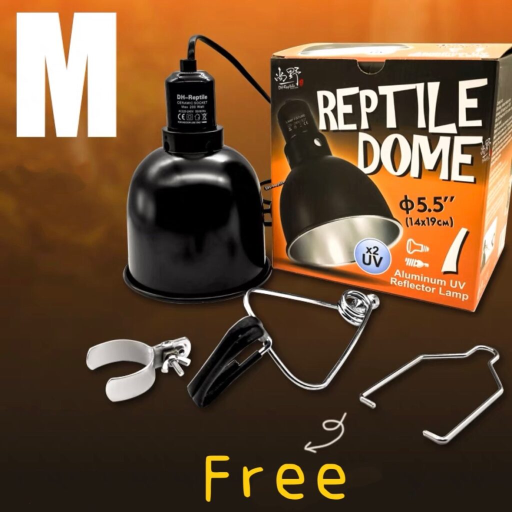 พบคำแนะนำในการเลือกกรงนกที่สมบูรณ์แบบ 6 DH-Reptile Dome M High Reflective Aluminium - โคมไฟอะลูมิเนียมสำหรับสัตว์เลื้อยคลาน ขนาดกลาง (456026)
