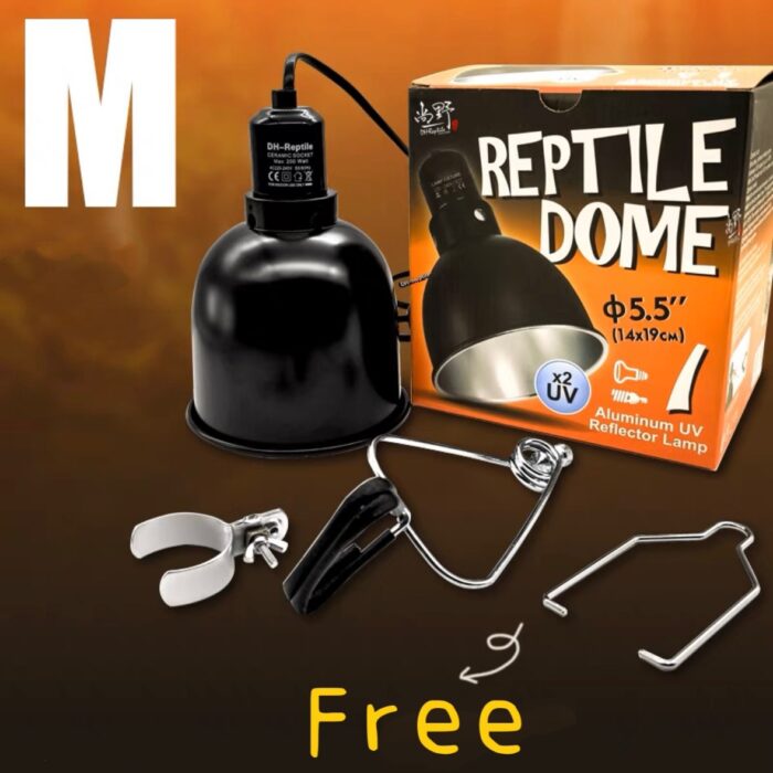 พบคำแนะนำในการเลือกกรงนกที่สมบูรณ์แบบ 8 SOOS DH-Reptile Dome M High Reflective Aluminium - โคมไฟอะลูมิเนียมสำหรับสัตว์เลื้อยคลาน ขนาดกลาง (456026)