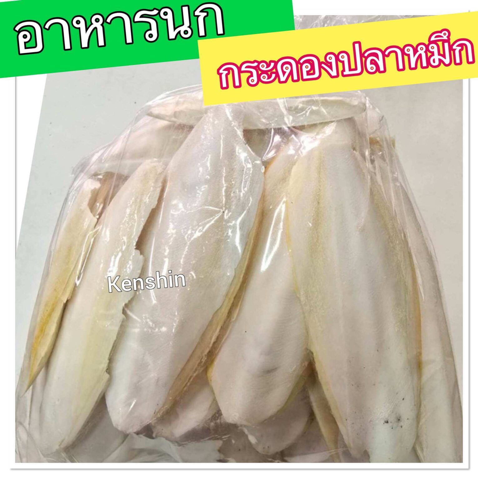 พบคำแนะนำในการเลือกกรงนกที่สมบูรณ์แบบ 6 457577