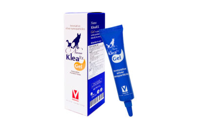 TBD NANO Klea Rx Gel - เจลนาโน สำหรับรักษาแผลสด เชื้อรา แบคทีเรีย 15g (459868)