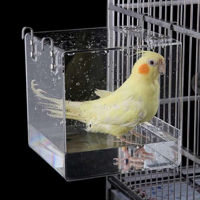 Acrylic Bird Bath Box - ห้องอาบน้ำสำหรับนก แบบกล่องอะคลิลิค (452158)