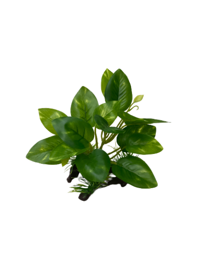 Aquarium Artificial Anubias - ต้นอนูเบียสเทียม ตกแต่งตู้ปลา (452182)