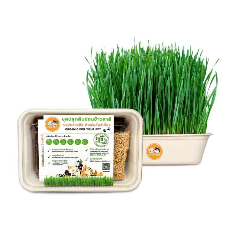 Organic Wheatgrass