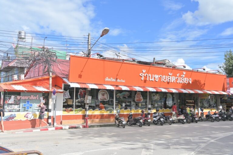 ร้านสัตว์เลี้ยง