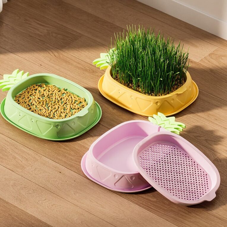 Pineapple-Cat-Grass