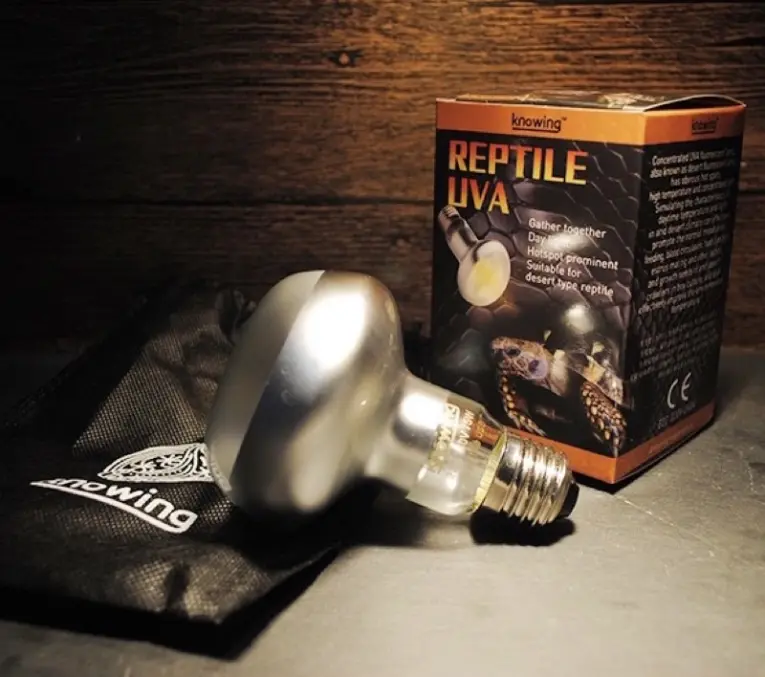 REPTILE UVA Lamp