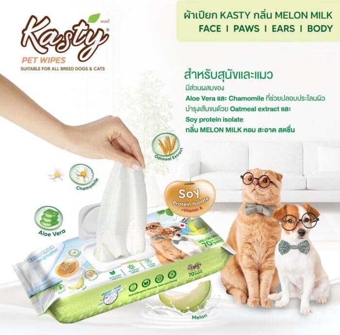 kasty-pet-wipes-melon-455834-1 Kasty Pet Wipes Melon Milk (24x22cm/70sheets) - ผ้าเปียกเช็ดทำความสะอาด กลิ่นนมเมลอน (24x22ซม./70แผ่น) (455834)
