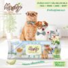 kasty-pet-wipes-melon-455834 Kasty Pet Wipes Melon Milk