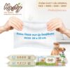 kasty-pet-wipes-original-455823-2 Kasty Pet Wipes Original (24x22cm/70sheets) - ผ้าเปียกเช็ดทำความสะอาด กลิ่นดั้งเดิม (24x22ซม./70แผ่น) (455823)