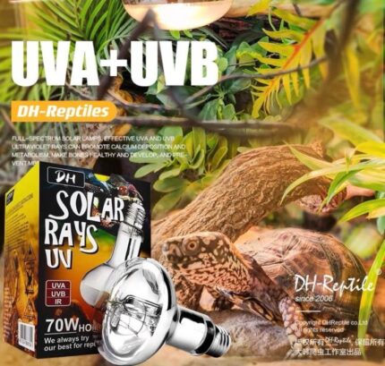 TBD DH-Reptile Solar Rays UV - หลอดไฟรวมแสง UVA UVB สำหรับสัตว์เลื้อยคลาน 100W (461706)