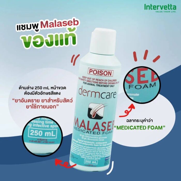 พบคำแนะนำในการเลือกกรงนกที่สมบูรณ์แบบ 8 Malaseb