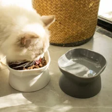 Pet Bowl Elevated - ชามอาหารสำหรับสัตว์เลี้ยงแบบยกสูง (12x12cm) (473126)