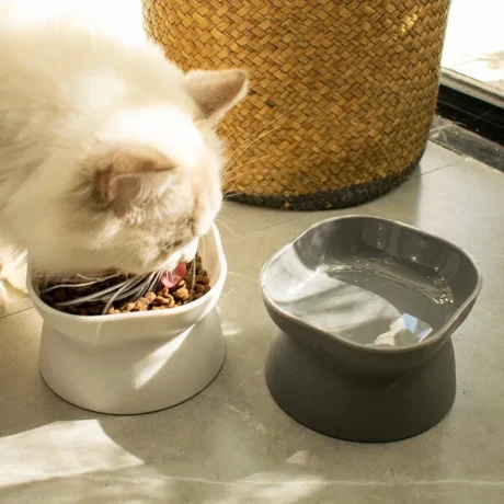 พบคำแนะนำในการเลือกกรงนกที่สมบูรณ์แบบ 10 Pet Bowl Elevated - ชามอาหารสำหรับสัตว์เลี้ยงแบบยกสูง (12x12cm) (473126)