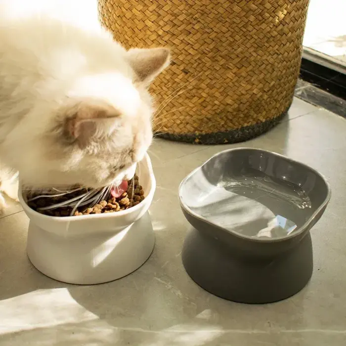 473126 Mica Acrylic Pet Bowl + Elevated - ชามใส่อาหารไมกาสำหรับสัตว์เลี้ยง แบบยกสูง (473126)