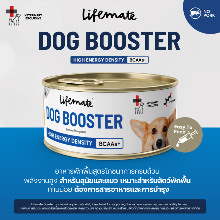 Booster-01
