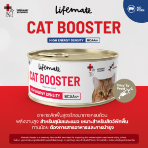 อาหารแมวพักฟื้น 464092 อาหารแมวพักฟื้น 464092