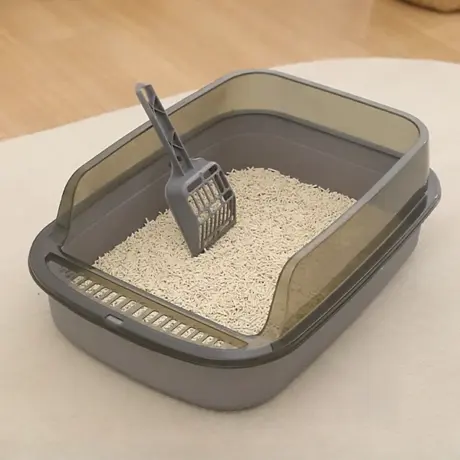 พบคำแนะนำในการเลือกกรงนกที่สมบูรณ์แบบ 9 Cat Litter Box
