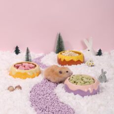 Ceramic Bowl For Hamsters Honey Pot Shape - ถ้วยอาหารแบบเซรามิค สำหรับหนูแฮมสเตอร์ รูปทรงหม้อเก็บน้ำผึ้ง (464094)