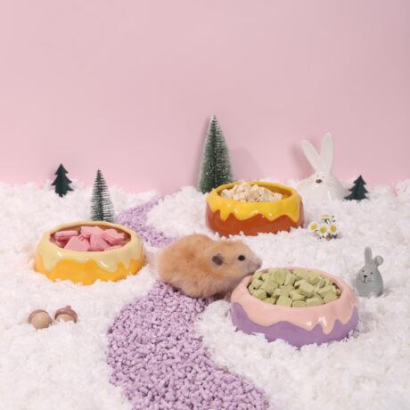 Ceramic Bowl For Hamsters Honey Pot Shape