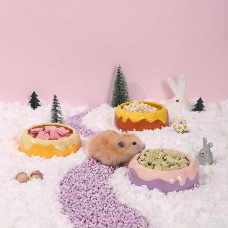 Ceramic Bowl For Hamsters Honey Pot Shape
