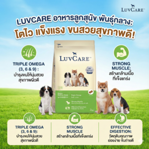 อาหารลูกสุนัข 468549 LuvCare Puppy Large Breed Dog Food - อาหารลูกสุนัข พันธุ์กลาง เลิฟแคร์ 500g