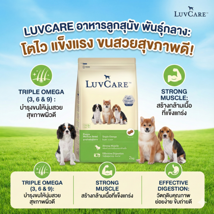 อาหารลูกสุนัข 468549 LuvCare Puppy Large Breed Dog Food - อาหารลูกสุนัข พันธุ์กลาง เลิฟแคร์ 500g
