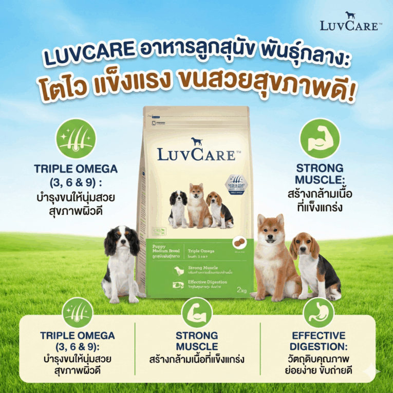 LuvCare Puppy Large Breed Dog Food - อาหารลูกสุนัข พันธุ์กลาง เลิฟแคร์ 500g