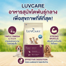 LuvCare Adult Medium Breed Dog Food - อาหารสุนัขโตพันธุ์กลาง เลิฟแคร์ 500g (454430)
