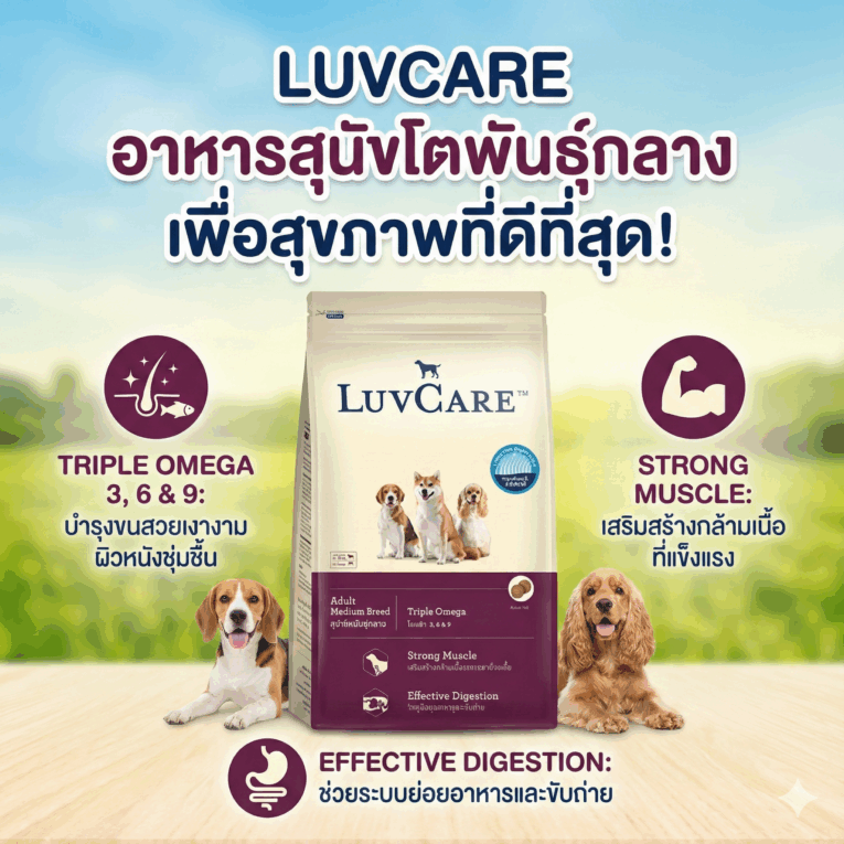 LuvCare Adult Medium Breed Dog Food - อาหารสุนัขโตพันธุ์กลาง เลิฟแคร์ 500g