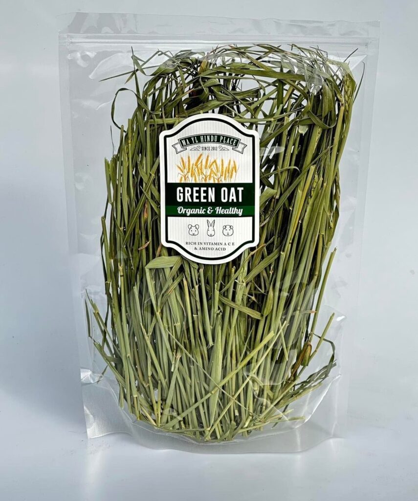 พบคำแนะนำในการเลือกกรงนกที่สมบูรณ์แบบ 6 MA YL Green Oat Organic & Healthy 100g - หญ้ากรีนโอ๊ต คัดใบ 100ก. (465836)