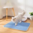 Pet Empire Cat Litter Mat