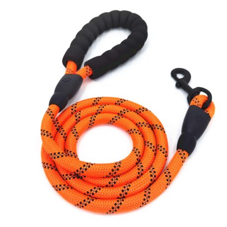 พบคำแนะนำในการเลือกกรงนกที่สมบูรณ์แบบ 10 Reflective Dog Leash 2M