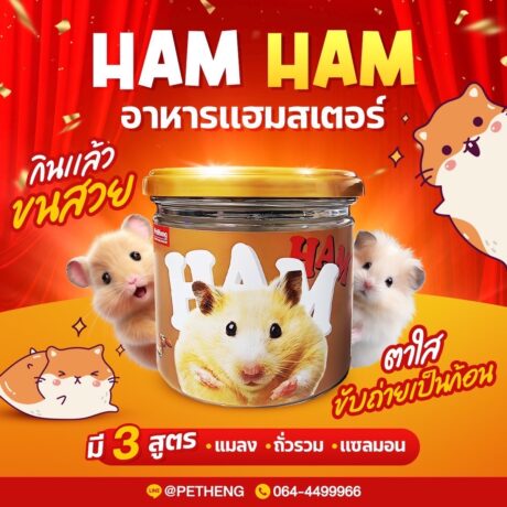 พบคำแนะนำในการเลือกกรงนกที่สมบูรณ์แบบ 10 Pet Heng Hamster Food - อาหารแฮมสเตอร์ กระปุก รสปลาแซลม่อน 170g (466157)