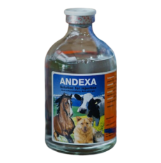 Andexa Injection 100ml