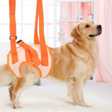 Back Support Leash L - สายจูงช่วยพยุงหลังสำหรับสุนัข ขนาดกลาง (รอบเอว 42-54ซม.) (497511)
