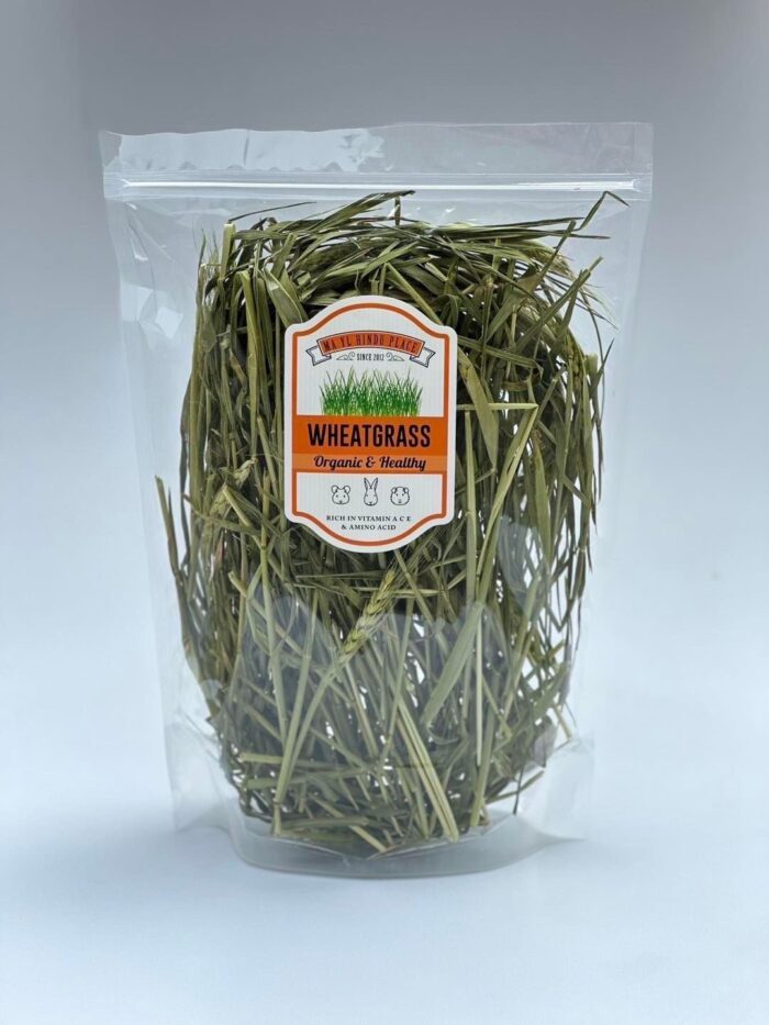 Wheatgrass Organic & Healthy 100g - ต้นอ่อนข้าวสาลี คัดใบ อบแห้ง 100ก. (465843)