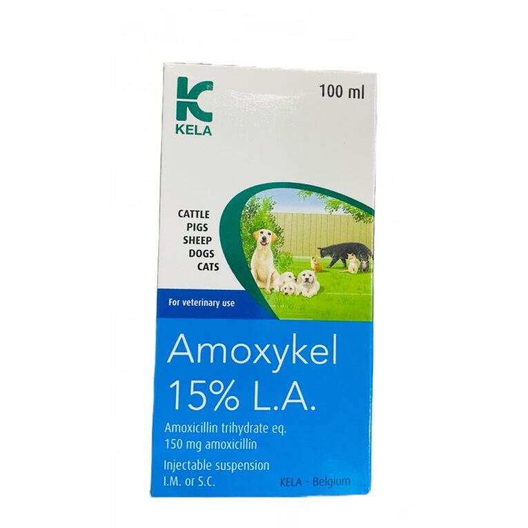 amoxykel-466883