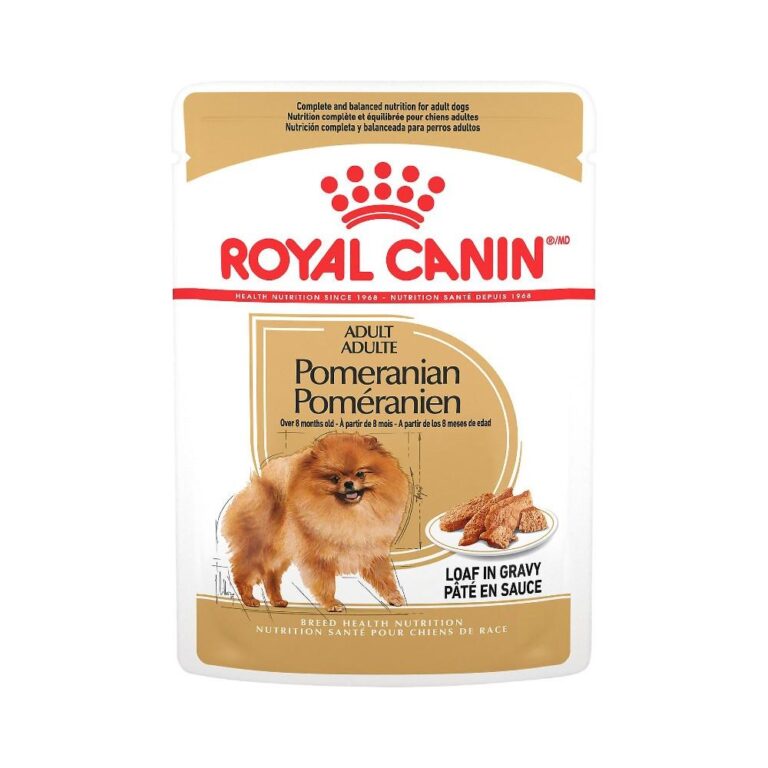 buy-royal-canin-pomeranian-adult-wet-food-pouch-online_1_1400x