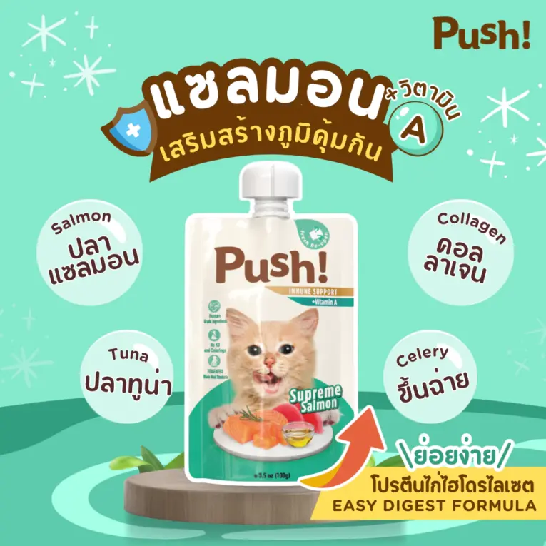 Push Pouch Supreme Salmon - อาหารแมว เนื้อมูสปลาแซลมอน 100g