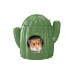 Cactus-hamster-ceramic-house
