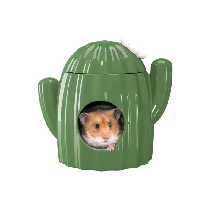 Bucatstate Cactus House For Hamster - บ้านเซรามิกสำหรับหนูแฮมสเตอร์ ธีมกระบองเพชร (14x18cm) (529952)
