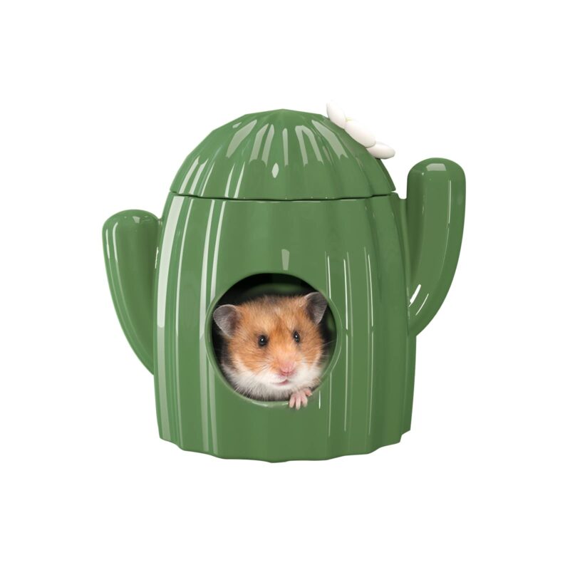 พบคำแนะนำในการเลือกกรงนกที่สมบูรณ์แบบ 6 Bucatstate Cactus House For Hamster - บ้านเซรามิกสำหรับหนูแฮมสเตอร์ ธีมกระบองเพชร (11x14.5cm) (482038)