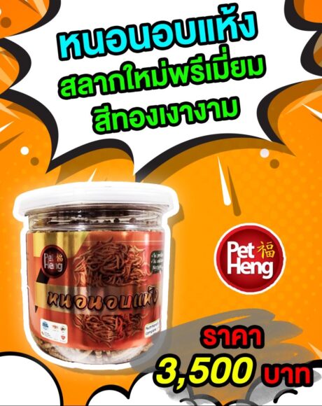 Pet Heng Dried Mealworms 100g - หนอนนกอบแห้งแบบกระปุก 100 กรัม (481836)