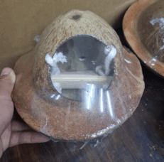 Coconut Shell House - บ้านกะลามะพร้าวยูเอฟโอ มีบันได
