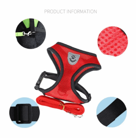 Pet Harness & Leash - สายจูง + รัดอกสัตว์เลี้ยงเนื้อผ้าระบายอากาศ