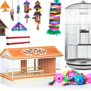 image with a white background depicting gadgets for "bird accessories" image with a white background depicting gadgets for "bird accessories"