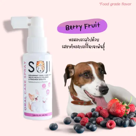 Soji Oral Care Spray Berry Fruit Scent - สเปรย์ลดกลิ่นปากสัตว์เลี้ยง กลิ่นเบอร์รี่ 50ml